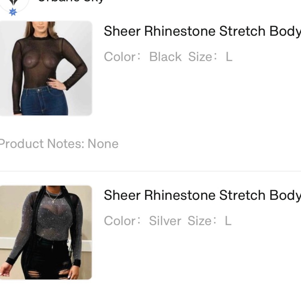 Sheer Rhinestone Stretch Bodysuit and Sheer Rhinestone Stretch Bodysuit